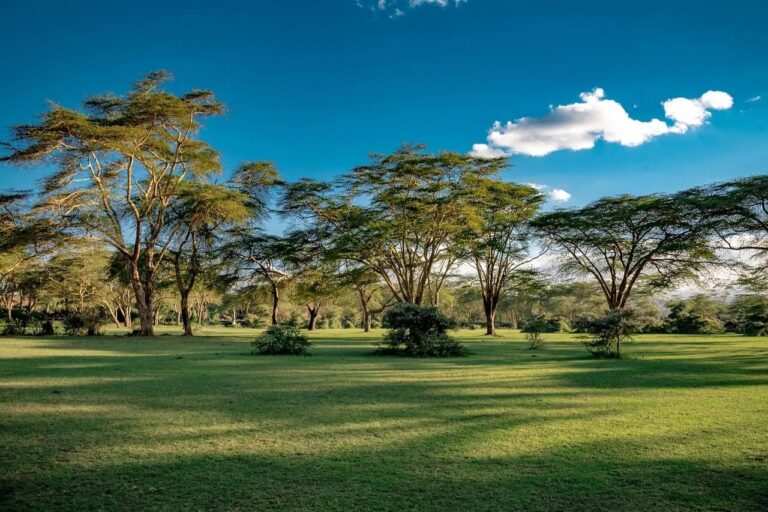 naivasha (1)